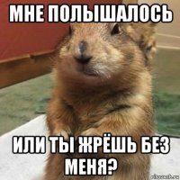 мне полышалось или ты жрёшь без меня?