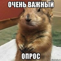 очень важный опрос