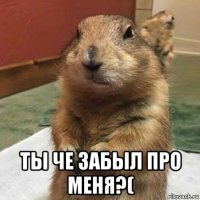  ты че забыл про меня?(