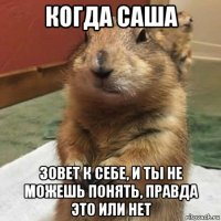 когда саша зовет к себе, и ты не можешь понять, правда это или нет