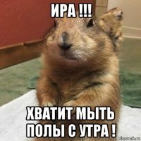 ира !!! хватит мыть полы с утра !