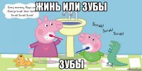 жинь или зубы зубы