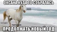 оксана куда то собралась продолжать новый год