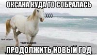 оксана куда то собралась продолжить новый год