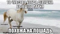 то чувство когда девушка бывшего парня похожа на лошадь