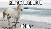 когда ты просто конь