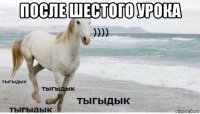 после шестого урока 