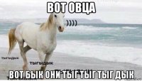 вот овца вот бык они тыг тыг тыг дык