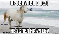 проснулся в 8:28 не успел на учебу