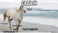 садык 