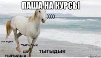 паша на курсы 