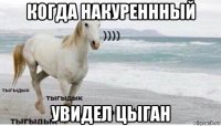 когда накуреннный увидел цыган