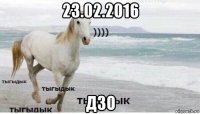 23.02.2016 дзо