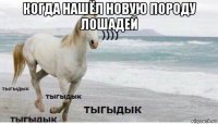 когда нашёл новую породу лошадей 