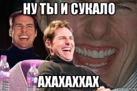 ну ты и сукало ахахаххах