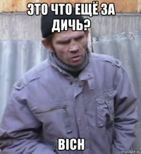 это что ещё за дичь? bich