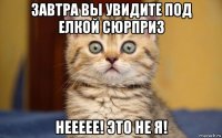 завтра вы увидите под елкой сюрприз неееее! это не я!