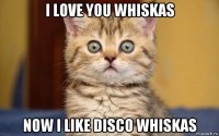 i love you whiskas now i like disco whiskas