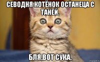 севодня котёнок останеца с таней. бля,вот сука.