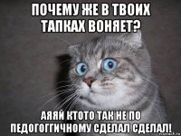 почему же в твоих тапках воняет? аяяй ктото так не по педогоггичному сделал сделал!