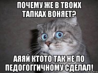 почему же в твоих тапках воняет? аяяй ктото так не по педогоггичному сделал!