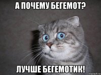 а почему бегемот? лучше бегемотик!