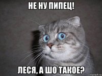 не ну пипец! леся, а шо такое?