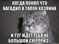 когда понял что нагадил в тапок хозяина и тут ждёт тебя не большой сюрприз...