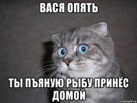 вася опять ты пъяную рыбу принёс домой