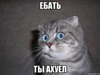 ебать ты ахуел