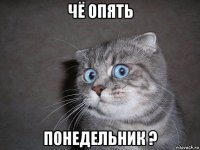 чё опять понедельник ?