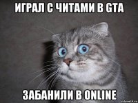 играл с читами в gta забанили в online