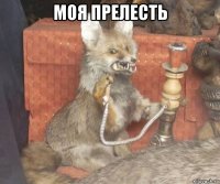 моя прелесть 