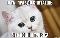 и ты правдо считаешь что кошки тупые?