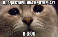 когда старшина не отвечает в 3:00