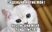 сашенька, котик мой ! не злись на меня , пожалуйста !