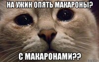 на ужин опять макароны? с макаронами??