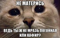 не матерись ведь ты ж не мразь погонная или кафир?