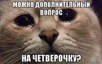 можно дополнительный вопрос на четверочку?