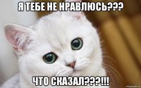 я тебе не нравлюсь??? что сказал???!!!