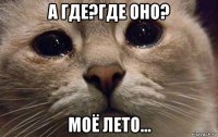 а где?где оно? моё лето...