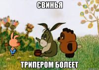 свинья трипером болеет