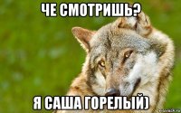 че смотришь? я саша горелый)