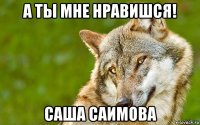 а ты мне нравишся! саша саимова