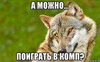 а можно... поиграть в комп?