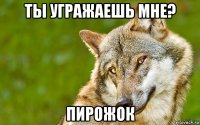 ты угражаешь мне? пирожок