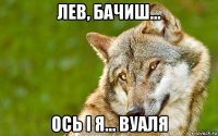 лев, бачиш... ось і я... вуаля