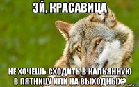 эй, красавица не хочешь сходить в кальянную в пятницу или на выходных?