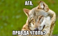 ага, правда чтоль?