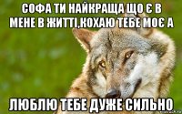 софа ти найкраща що є в мене в житті,кохаю тебе моє а люблю тебе дуже сильно